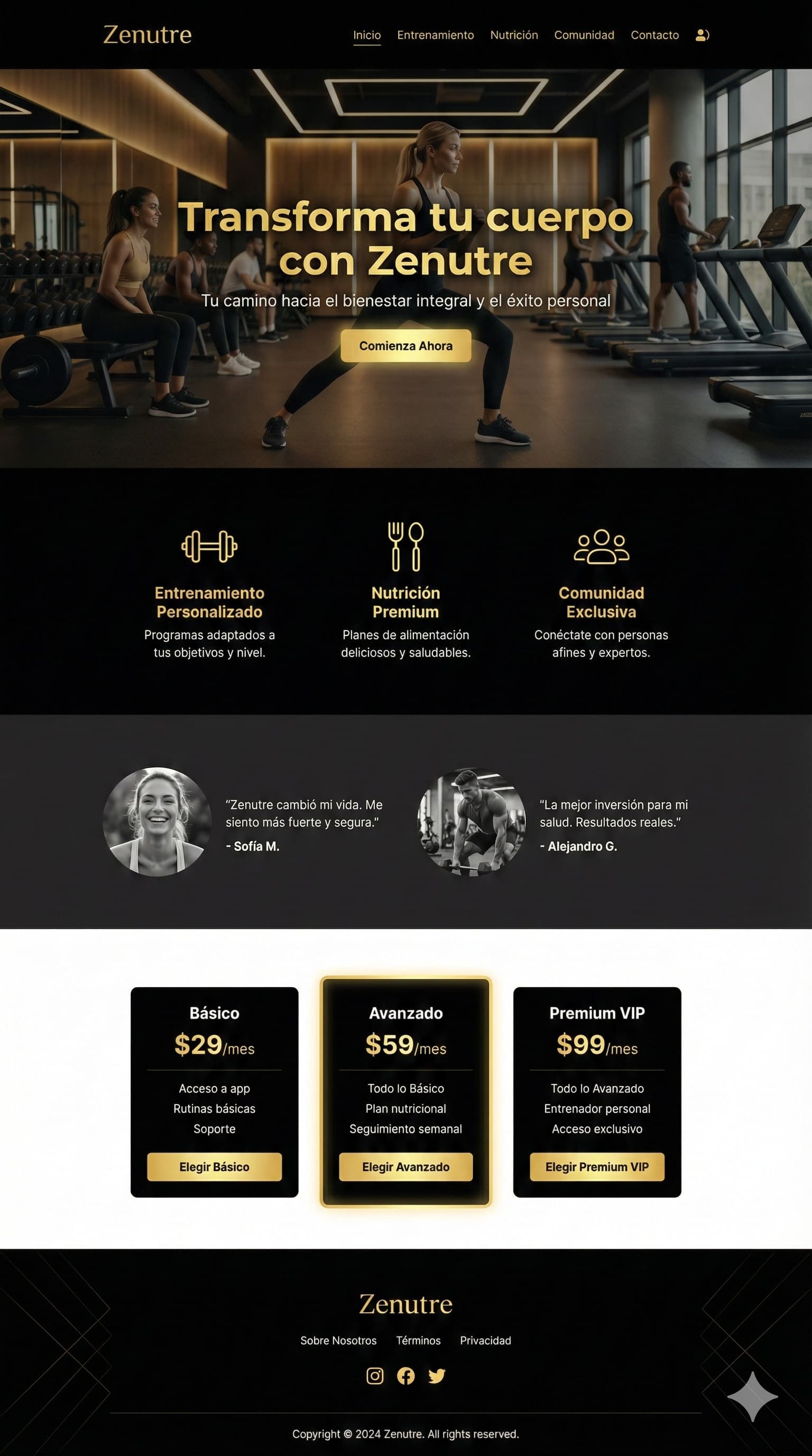 Ejemplo de Landing Page 1